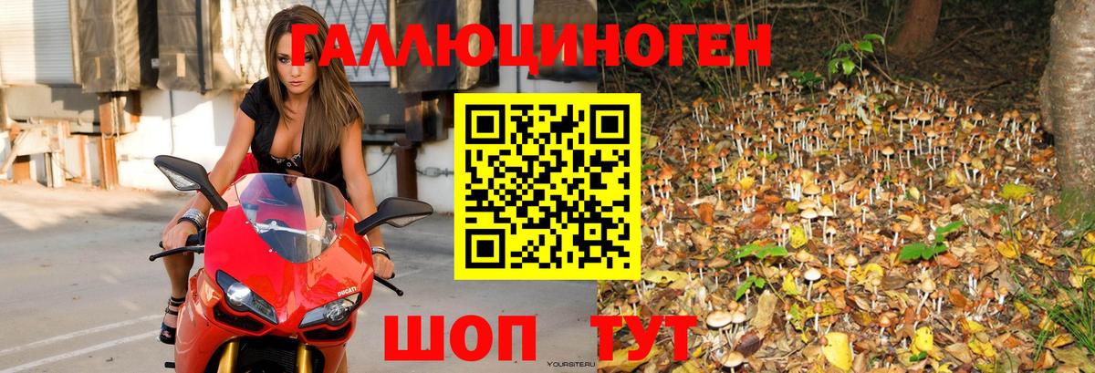 Обнинск  Галлюциногенные грибы мицелий  Вход с VPN  Галлюциногенные грибы Magic Shrooms 