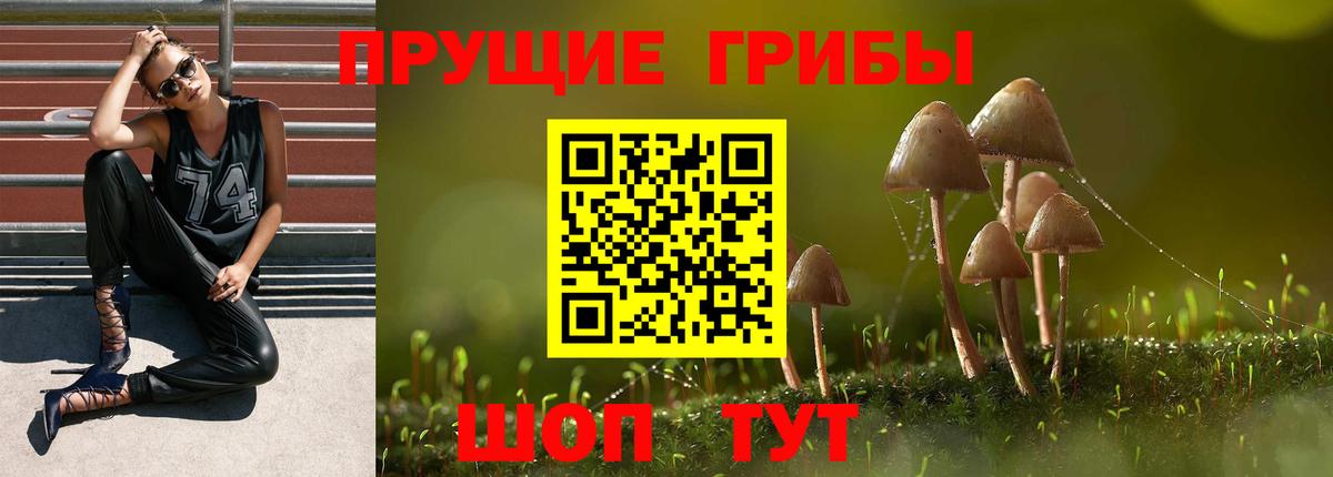 Псилоцибиновые грибы мухоморы Обнинск