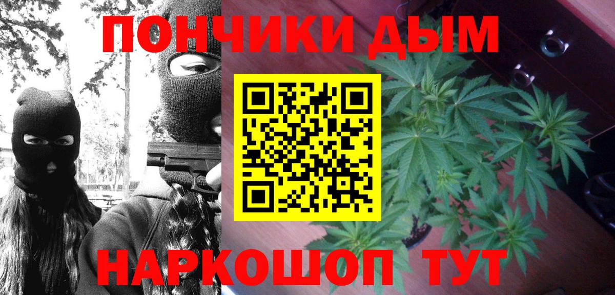 Каннабис план Обнинск